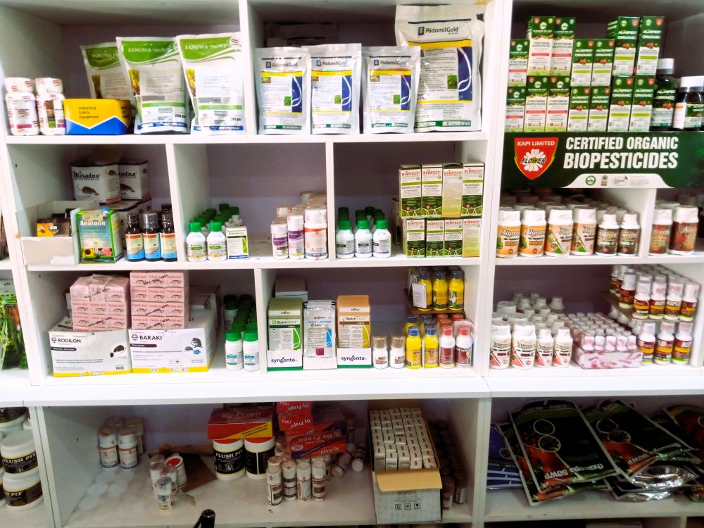 Shelf 10