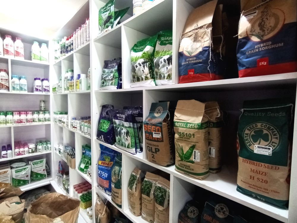Shelf 3