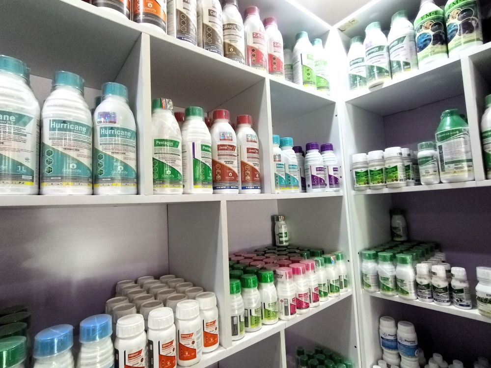 Shelf 4