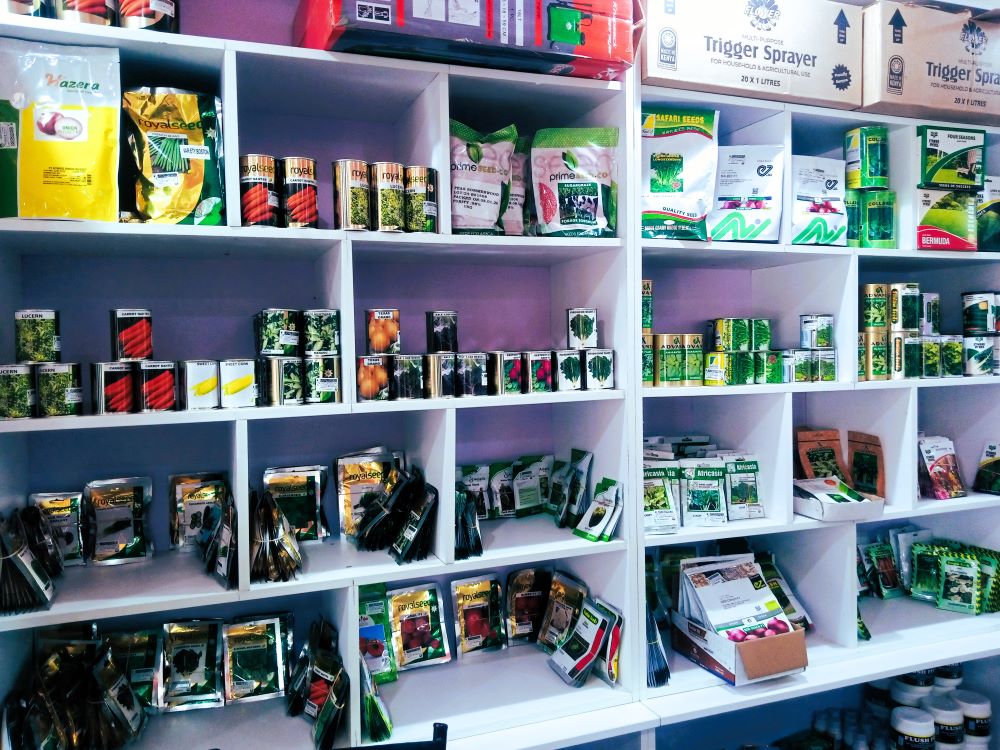 Shelf 6